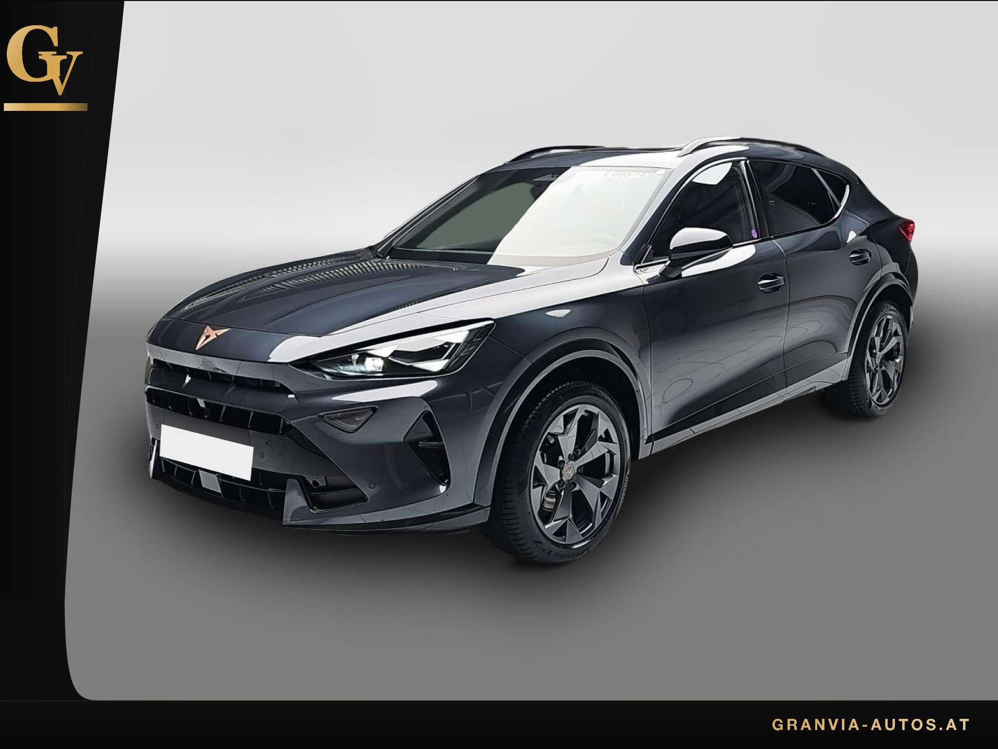 Cupra FORMENTOR 1.5 ETSI DSG NAVI LED-HD ACC PANO WINT