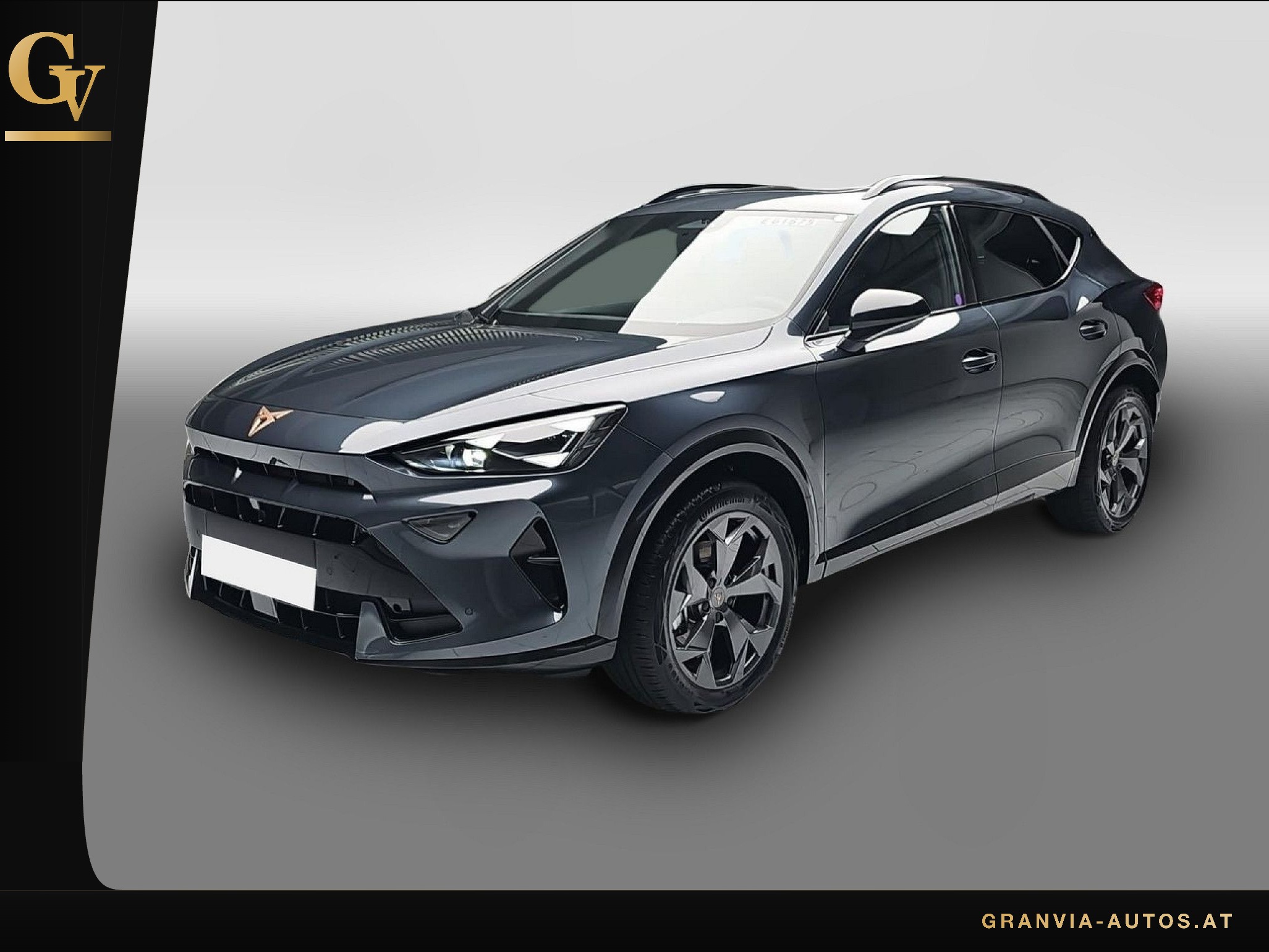 Cupra FORMENTOR 1.5 ETSI DSG NAVI LED-HD ACC PANO WINT