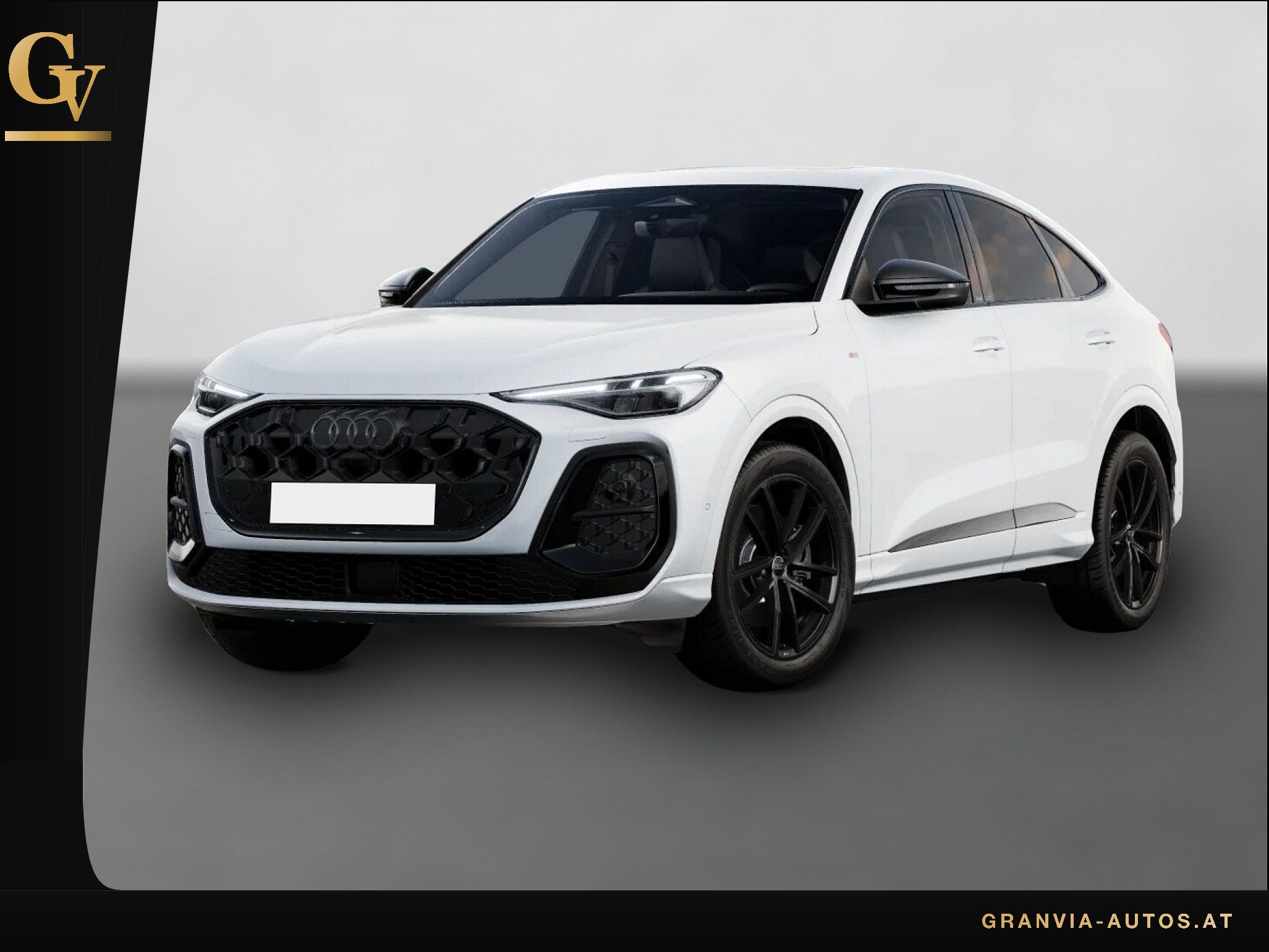 Audi Q5 Sportb TDI 2xS line Tech+ Leder BlackP AHK